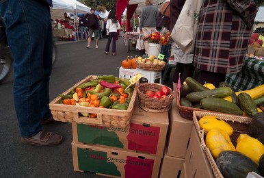 Farmer's Market: food, vendors and shoppers. Idaho