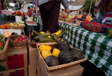 Farmer's Market: food, vendors and shoppers. Idaho