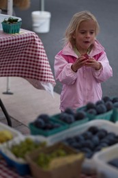 Farmer's Market: food, vendors and shoppers. Idaho