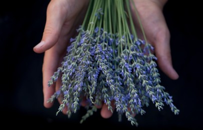 Farmer's Market: food, vendors and shoppers. Idaho. Lavender.