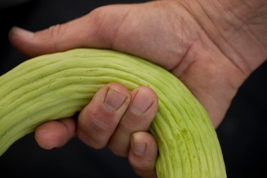 Farmer's Market: food, vendors and shoppers. Idaho. Cucumber.