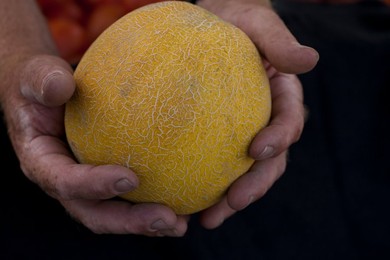Farmer's Market: food, vendors and shoppers. Idaho. Organic cantelope.