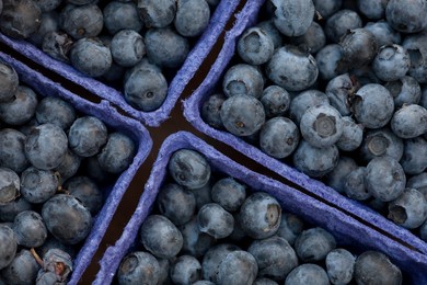 Farmer's Market: food, vendors and shoppers. Idaho. Organic blueberry.