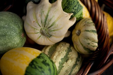 Farmer's Market: food, vendors and shoppers: squashes. Idaho