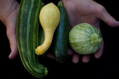 Farmer's Market: food, vendors and shoppers: squashes. Idaho