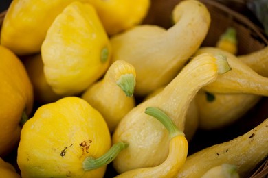 Farmer's Market: food, vendors and shoppers: squashes. Idaho