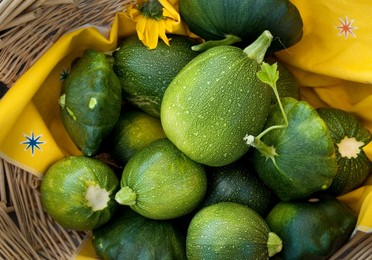 Farmer's Market: food, vendors and shoppers: squashes. Idaho