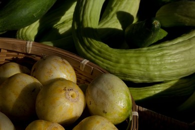 Farmer's Market: food, vendors and shoppers. Idaho. Organic cucumber.