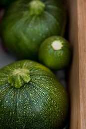 Farmer's Market: food, vendors and shoppers. Zuccini.  Idaho