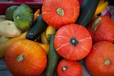 Farmer's Market: food, vendors and shoppers. Variety of organic squash.  Idaho