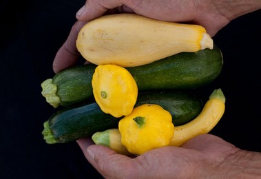 Farmer's Market: food, vendors and shoppers. Idaho. Squashes.