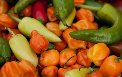 Farmer's Market: food, vendors and shoppers. Organic peppers. Idaho