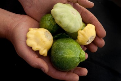 Farmer's Market: food, vendors and shoppers. Idaho. Squashes.