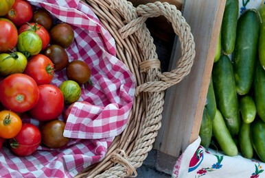 Farmer's Market: food, vendors and shoppers. Organic tomato and cucumber.  Idaho