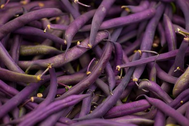 Farmer's Market: food, vendors and shoppers. Idaho. Beans.