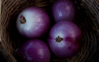 Farmer's Market: food, vendors and shoppers. Idaho. Organic onion.