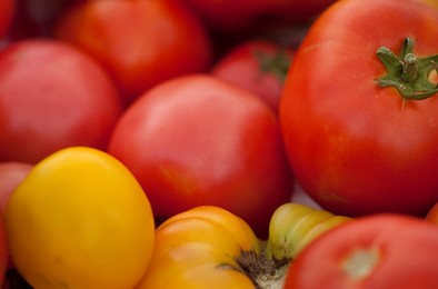 Farmer's Market: food, vendors and shoppers. Idaho. Organic tomato.
