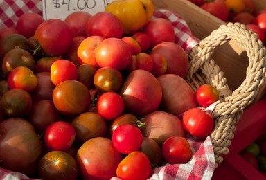 Farmer's Market: food, vendors and shoppers. Idaho. Organic tomato.