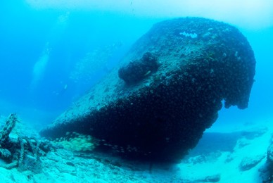 Chikuzen shipwreck, bow, British Virgin..........