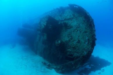 Chikuzen shipwreck, bow, British Virgin..........