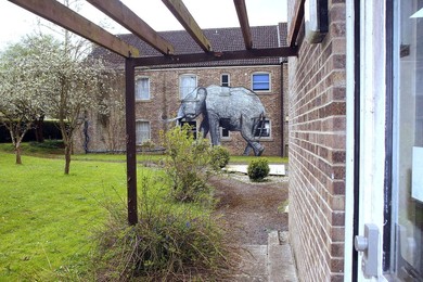 Image 199686179