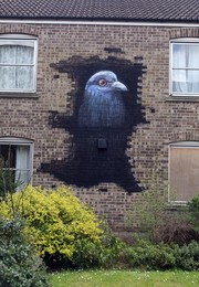 Image 199686182