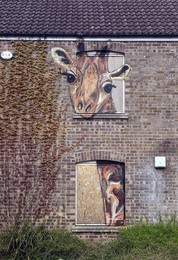 Image 199686187