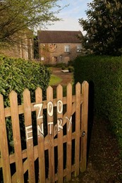 Image 199686206