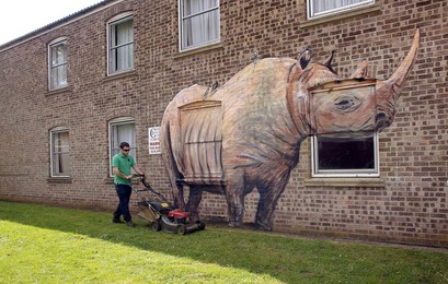 Image 199686209