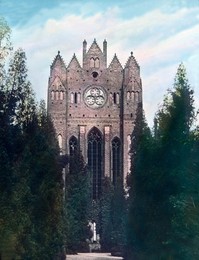 Image 199853595