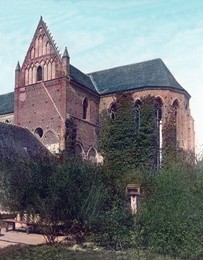 Image 199853598