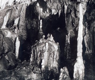 Image 199854114