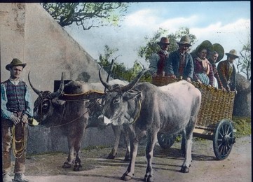 Image 199856963