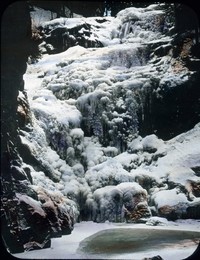 Image 199857022