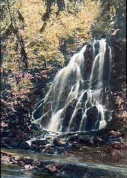 Image 199857140