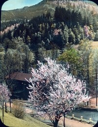 Image 199857148