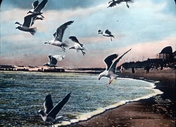 Image 199857187