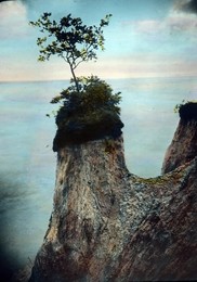 Image 199857218