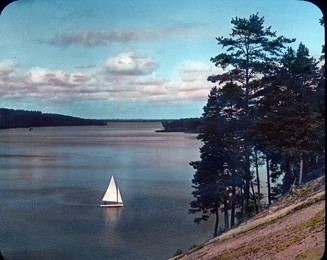 Image 199857226
