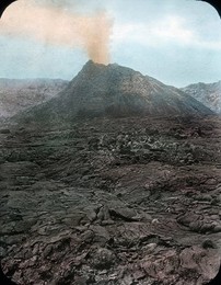 Image 199862335
