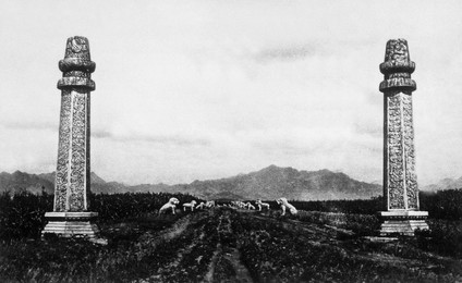 Image 199863237
