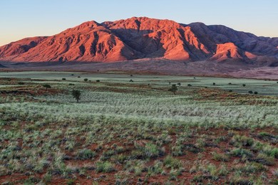 The NamibRand Nature Reserve, Namibia..........