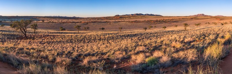 Panoramic view NamibRand Nature Reserve,..........