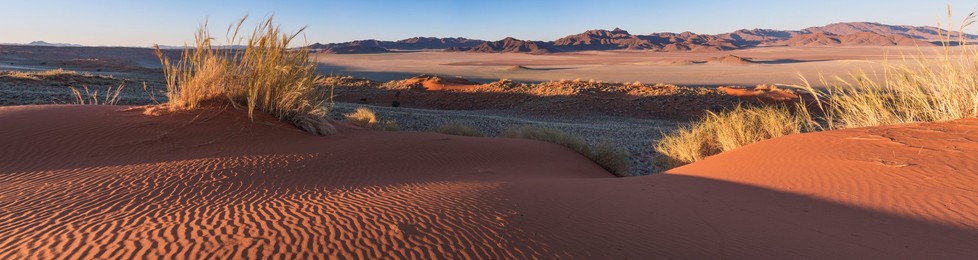 Panoramic view NamibRand Nature Reserve,..........