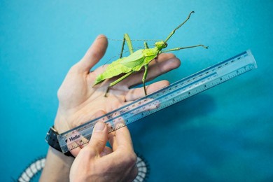 Annual Weigh-in at London Zoo