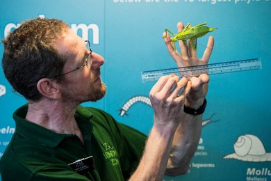 Annual Weigh-in at London Zoo