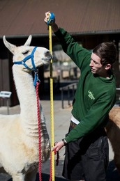 Annual Weigh-in at London Zoo