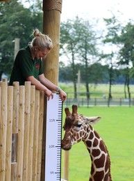 Image 204333816
