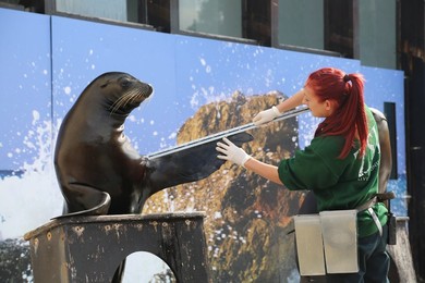 Image 204333819