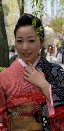 Image 206243707